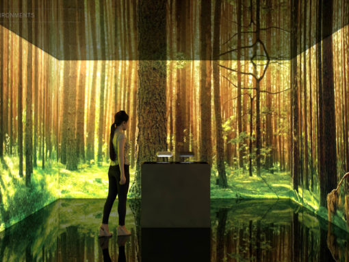 Immersive Environments